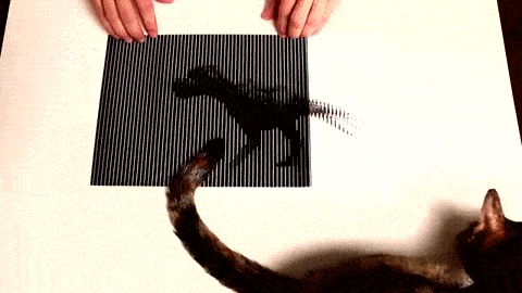 the science of illusion