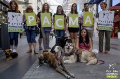 Pacma, el partido animalista que podría estrenarse en el Congreso compartiendo escaños con toreros