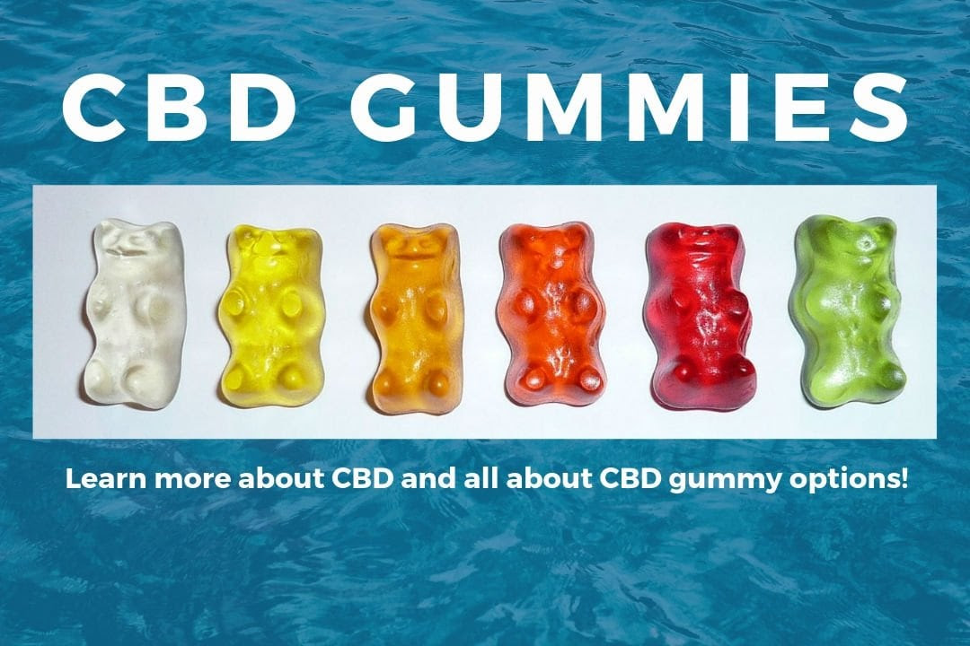 15 Best CBD Gummies in 2022 (Reviews) • The Three Snackateers