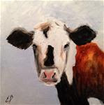 Cow - Posted on Wednesday, November 19, 2014 by Elizabeth Barrett