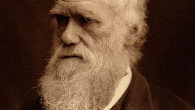 Portrait de Charles Darwin