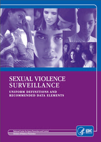 Cover of Sexual Violence Surveillance