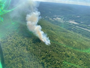 Aerial view of wild fire, large plume of white smoke rising above the trees