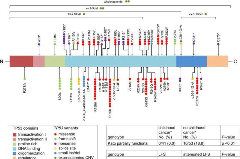 More accurate prediction of cancer risk in individuals with Li-Fraumeni syndrome