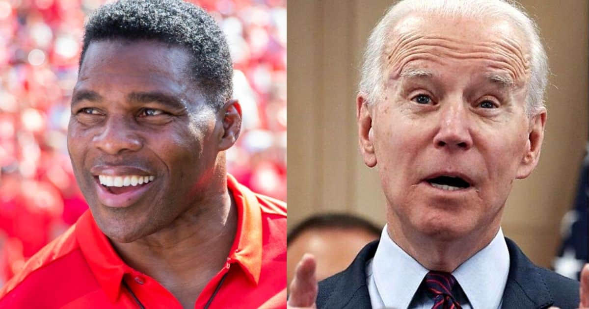Biden Just Made a Massive Mistake - And Herschel Walker Is Laughing All the Way to the Bank