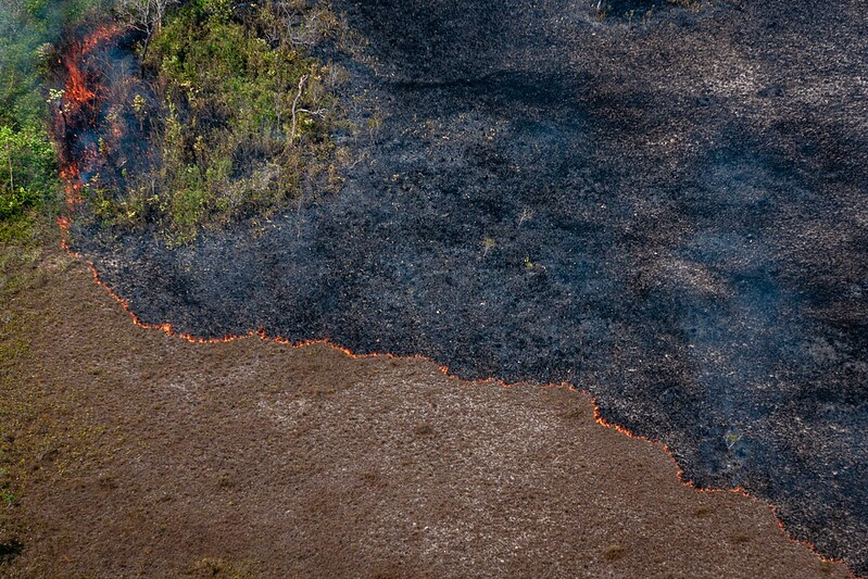Imagem aérea mostra área queimada na Amazônia, com um divisão entre o terreno marrom não afetado pelas chamas e o terreno preto, consumido pelo fogo