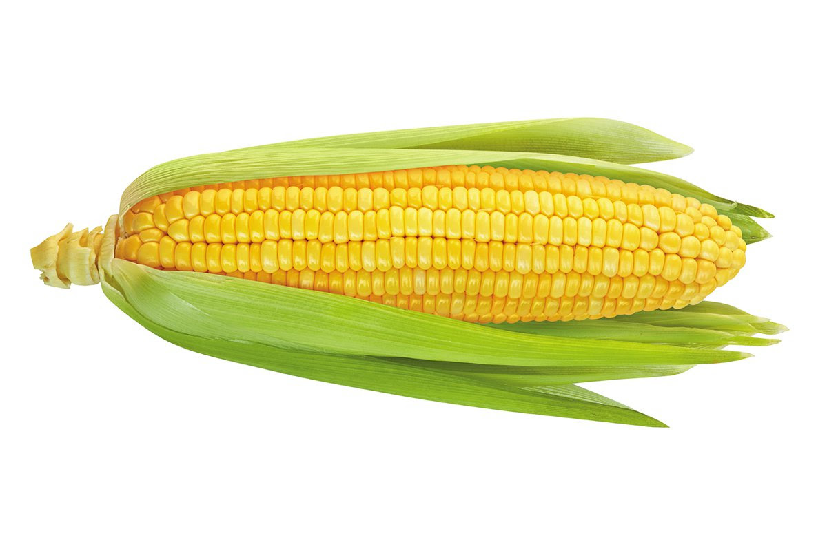 Ingredient: Corn - richmondmagazine.com
