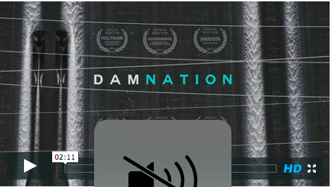 The documentary, DamNation, will be screened at the Wildflower Unitarian Universalist Church on Friday.