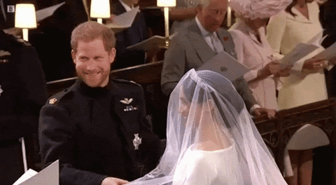 BBC wedding royal wedding prince harry royalwedding GIF