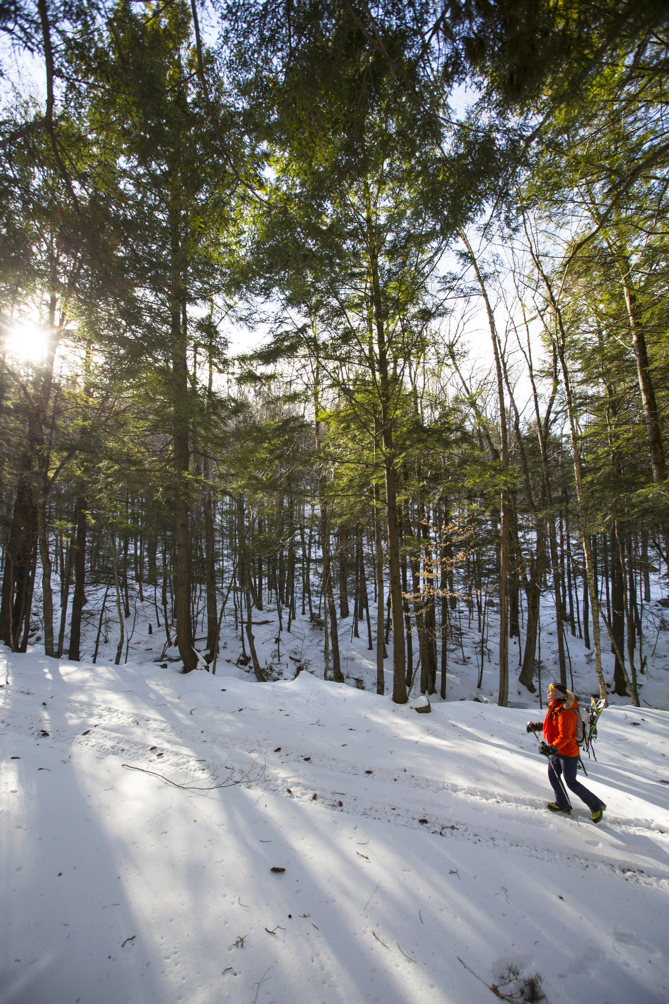 Snowshoeing.jpg