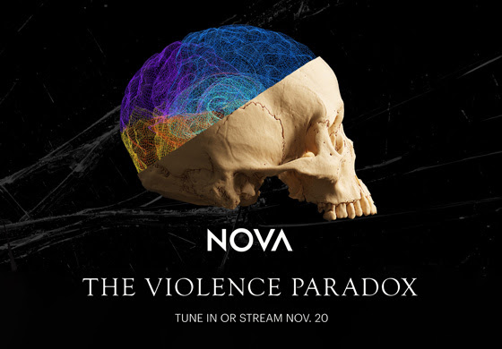The Violence Paradox (NOVA/PBS)