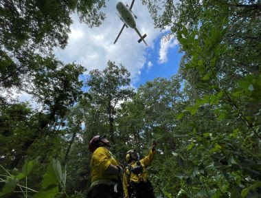 a worker looking up in a forest with a helicopter flying above