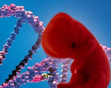 Debate por la secuensiación del genoma de un feto en EEUU