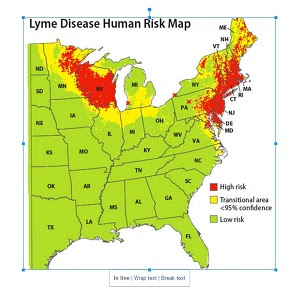 Learn about  Lyme disease vaccines