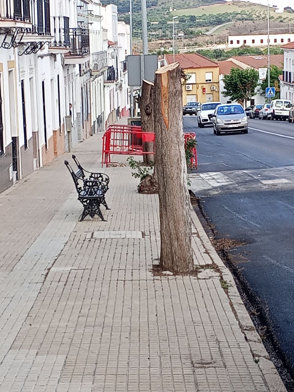 Ayuntamiento de
                                          Monesterio, primer nominado de
                                          la Campaña 2023-24 de La
                                          Motosierra de Atila