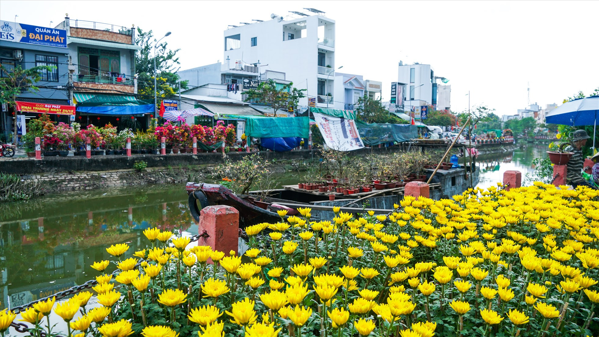 Không những ở dưới sông, mà rất nhiều tuyến đường, phố Cần Thơ đã ngập tràn hoa và cây kiểng.