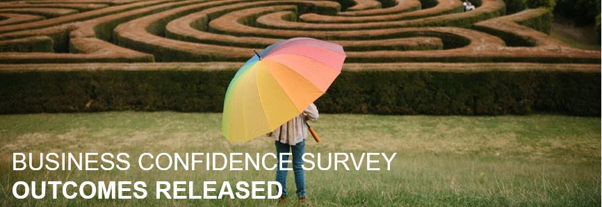 business confidence survey outcomes