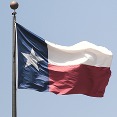 zdjęcie flagi Teksasu