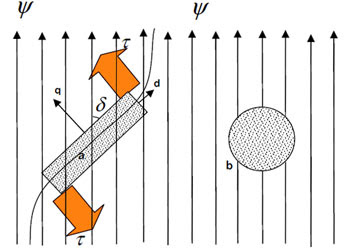 Magnetic field effect on objects with anisotropic and isotropic geometry