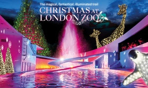 Christmas at London Zoo