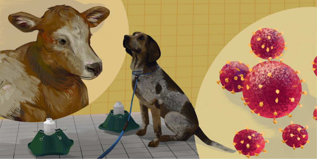 illustration of a cow and a hound dog and a virus image