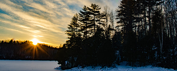 sun setting over snowy pine forest