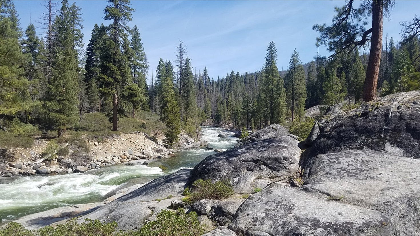 Missing family of three and their dog found deceased on a California hiking trail