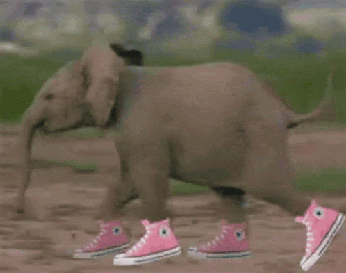 Elephant Running GIF