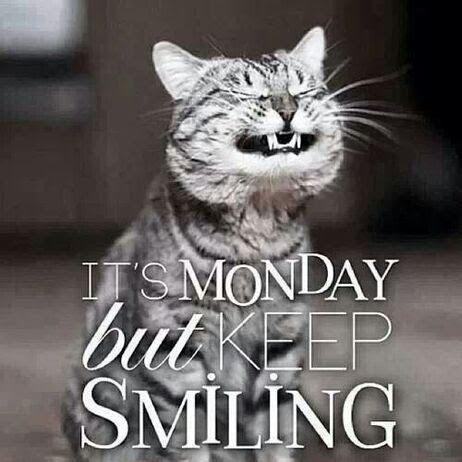 Monday-Cat-Keep-Smiling