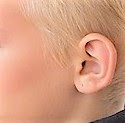 Ear