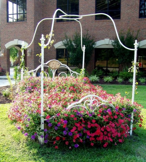 flower bed