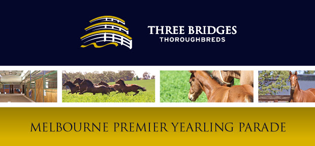 THREE BRIDGES THOROUGHBREDS - MELBOURNE PREMIER YEARLING SALE