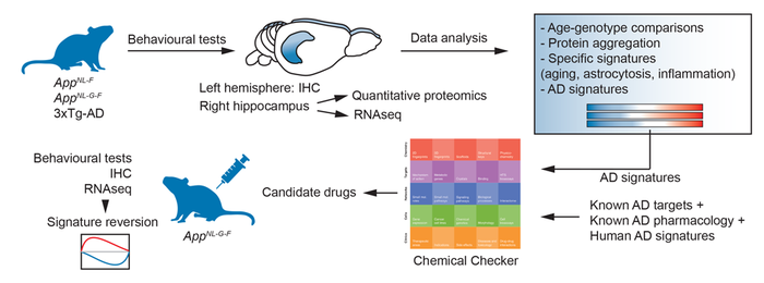 Behavioral and histological characterization of mouse Alzheimer's Disease models