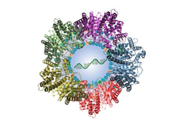 Targeting gene therapy directly into the lungs