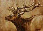 Bull Elk - Posted on Wednesday, March 4, 2015 by Veronica Brown