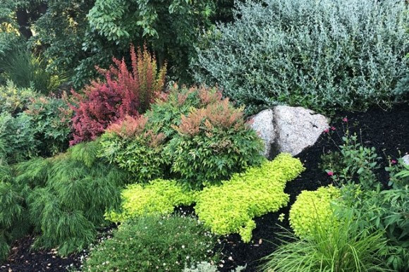 Colorful foliage garden design