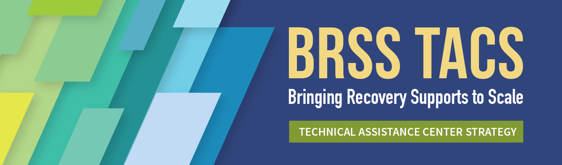 SAMHSA’s Bringing Recovery Supports to Scale Technical Assistance Center Strategy (BRSS TACS)