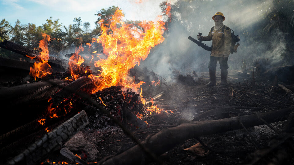 El aumento exponencial del territorio deforestado se disparó con las quemas.