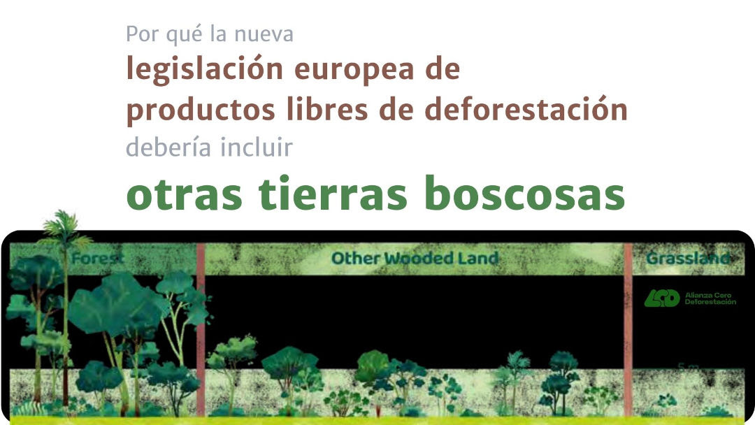 La protección de un 25 %
de las áreas forestales del
mundo está pendiente de la
decisión de la Unión Europea