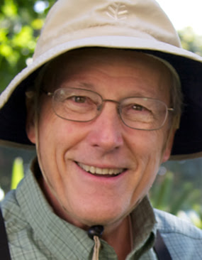 Steve Kaye