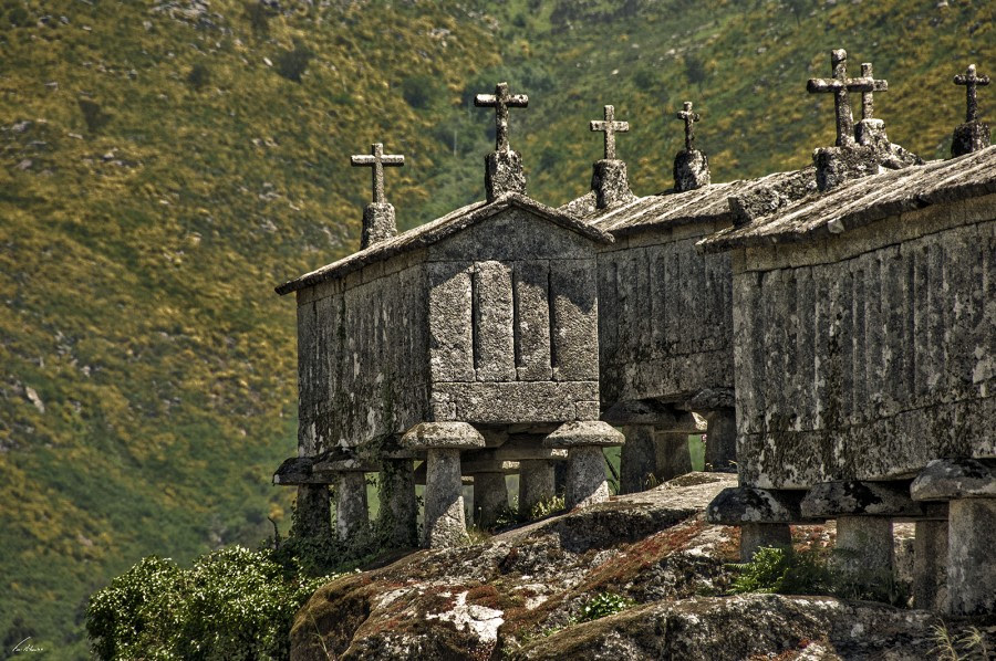 Soajo