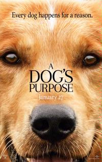 A Dog’s Purpose Movie Premier in Dallas, Texas