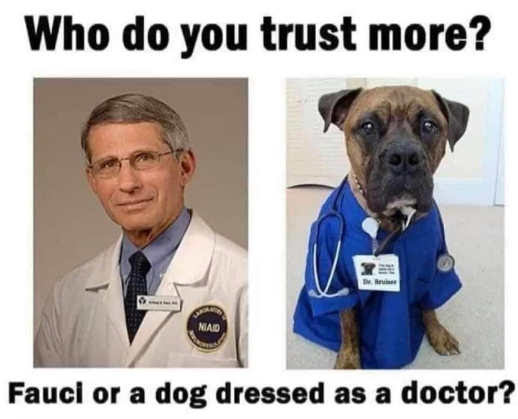 question trust more dr fauci dog dresses as doctor