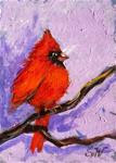 Cardinal bird painting - Posted on Thursday, March 19, 2015 by Sonia von Walter