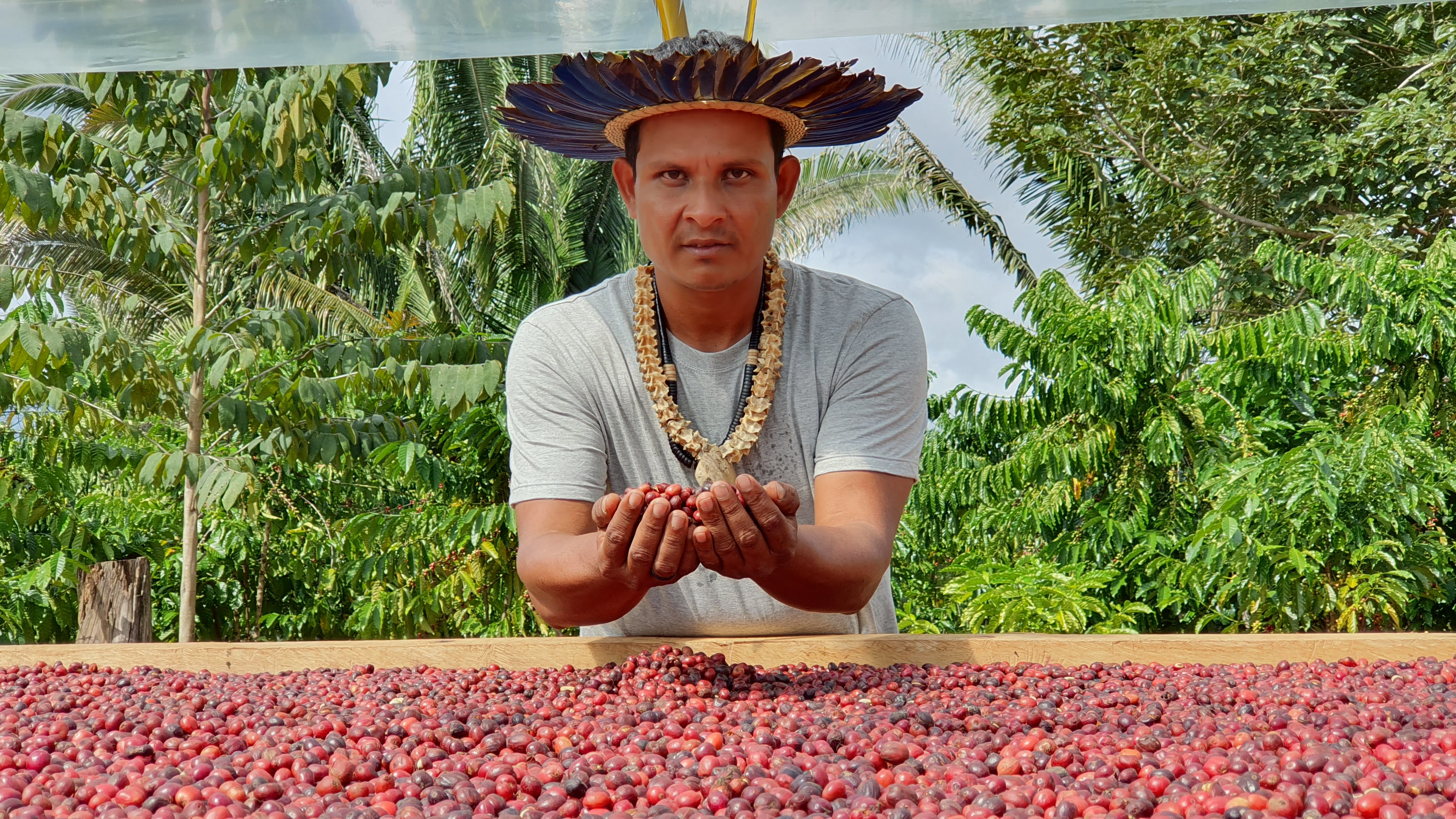 Indígena produtor de café