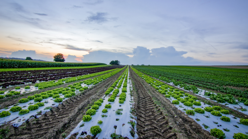 Pasa Sustainable Agriculture How to Apply for Ag Grants Webinar