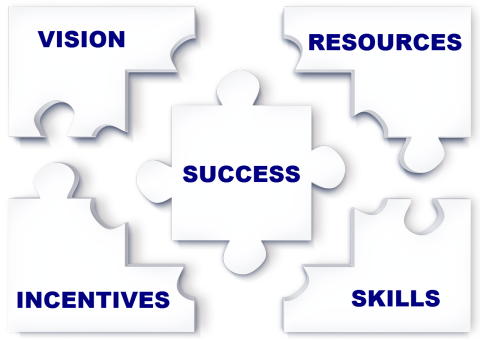 Puzzle pieces showing network assets: vision, resources, incentives, skills = success.