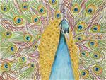 Peacock - Posted on Monday, March 30, 2015 by Arlene Crafton