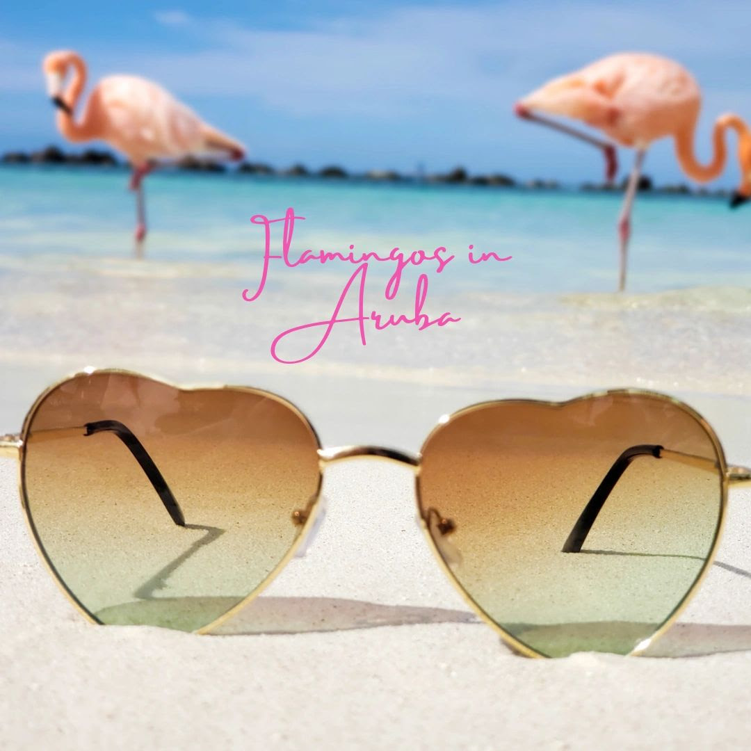 Aruba flamingos Renaissance ISland