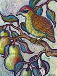 Partridge in a Pear Tree 2 - Posted on Saturday, November 22, 2014 by Ande Hall